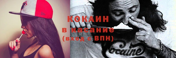 шишки Горнозаводск