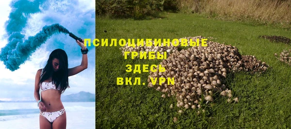 спайс Горно-Алтайск