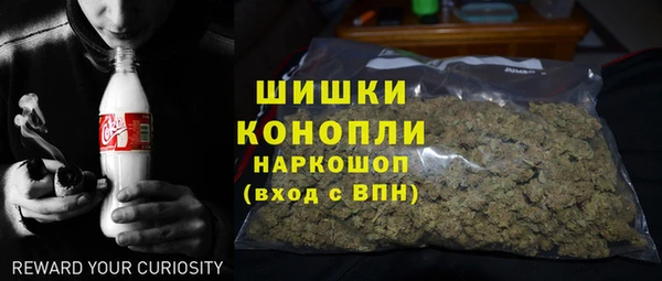 шишки Горнозаводск