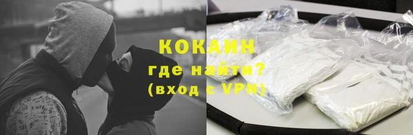 шишки Горнозаводск