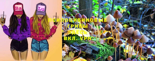 спайс Горно-Алтайск