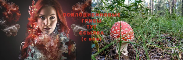 соль курить ск Горняк