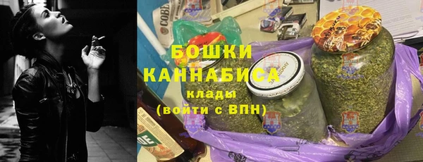 шишки Горнозаводск