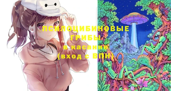соль курить ск Горняк