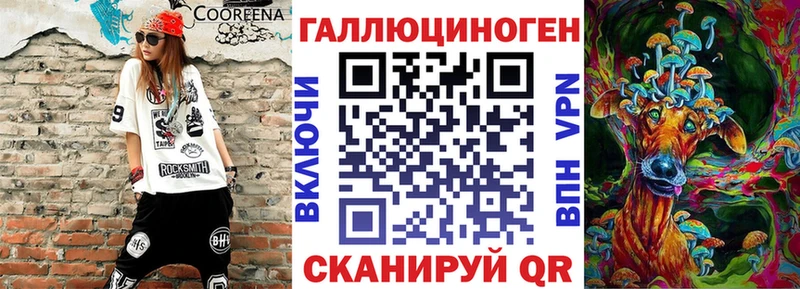 Псилоцибиновые грибы Psilocybine cubensis  Евпатория 